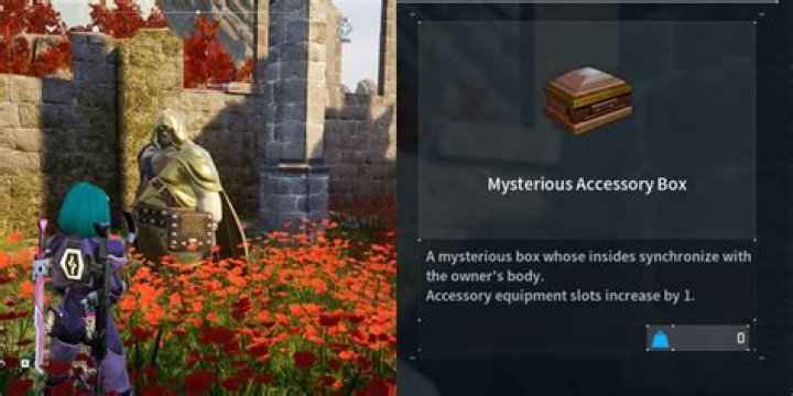 accessory slots