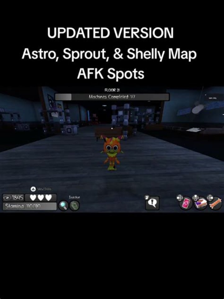 Afk spot and coordinates of it.