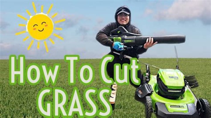 Are Items Found by Cutting Grass Random, or Fixed?