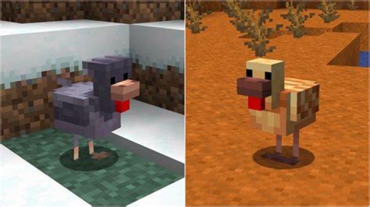 Are the birds in Minecraft chickens or ducks? [closed]