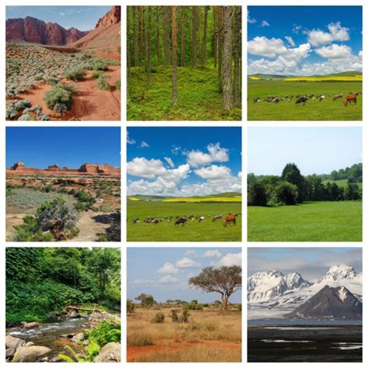 Are there any unique items to the normal and desert biomes?