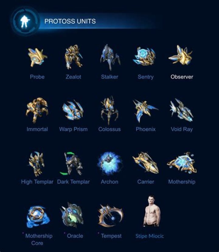 Are there canon or otherwise widely accepted names for groups of Starcraft 2 units?