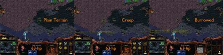 At what rate do Zerg units regenerate HP in Brood War?