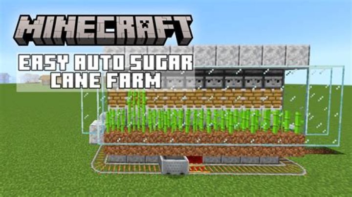 Auto Sugar Farm not working
