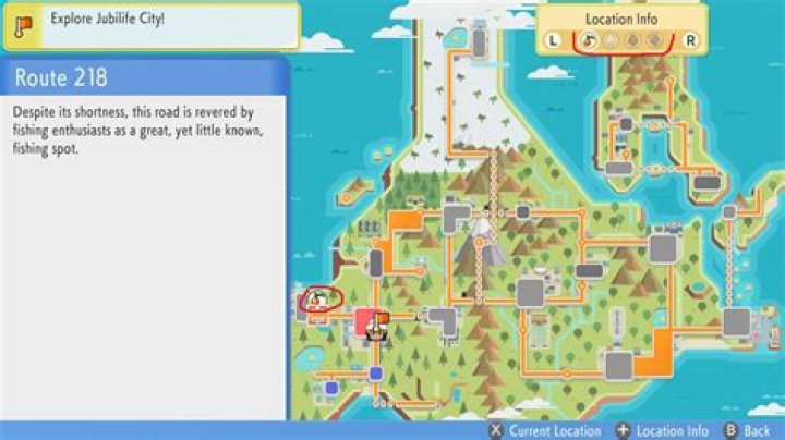 BDSP Location Info map view