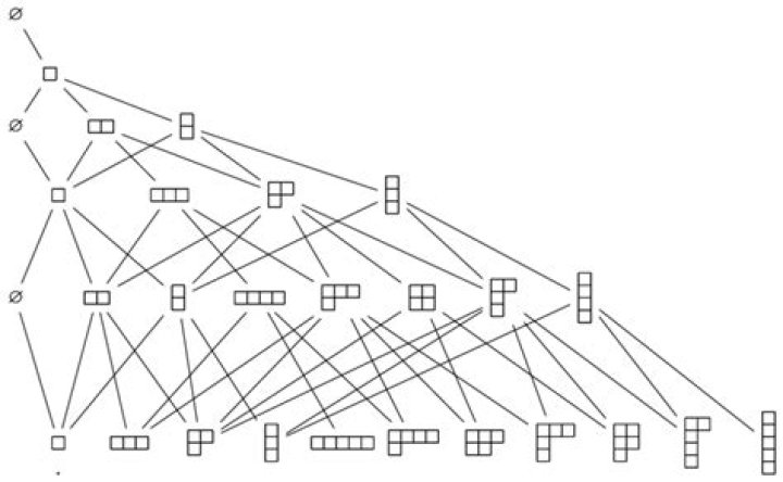 branching graph