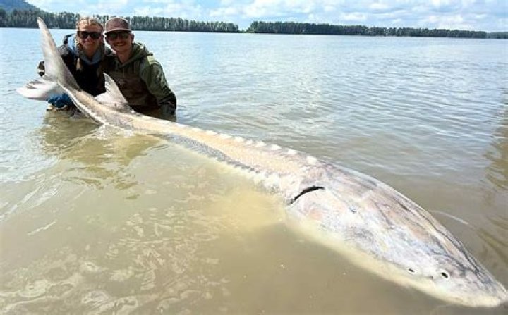 Can fish be caught in all water tiles?
