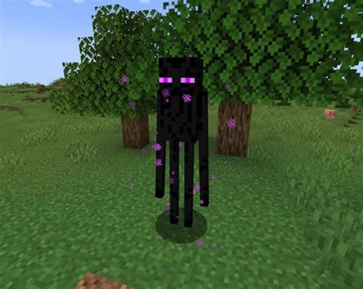 Can I break the fall of an Enderman with water?