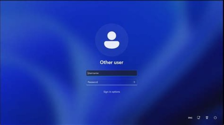 Can I use my username to Log In rather than my email?