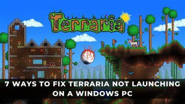 Can PC terraria play with Switch terraria, if they are on the same version