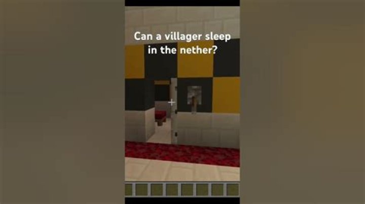 Can villagers sleep in the nether?