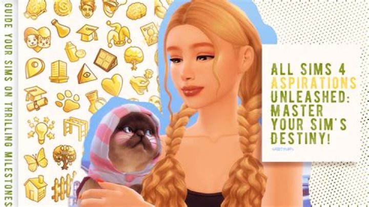 Can we change sim's aspiration?