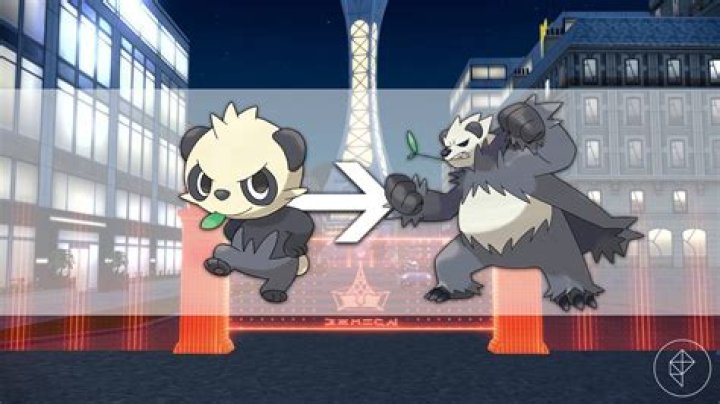 Can you evolve a Pancham after level 32 in sword?