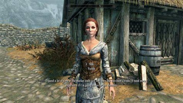 Can you get a husband that gives you free money like ysolda in skyrim?
