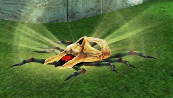 Can you still get gold skulltulas from soil after planting a magic bean?