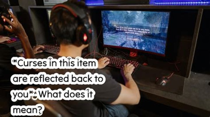 "Curses in this item are reflected back to you": What does it mean?