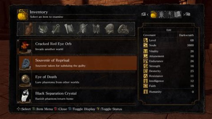 Dark Souls inventory screen screenshot