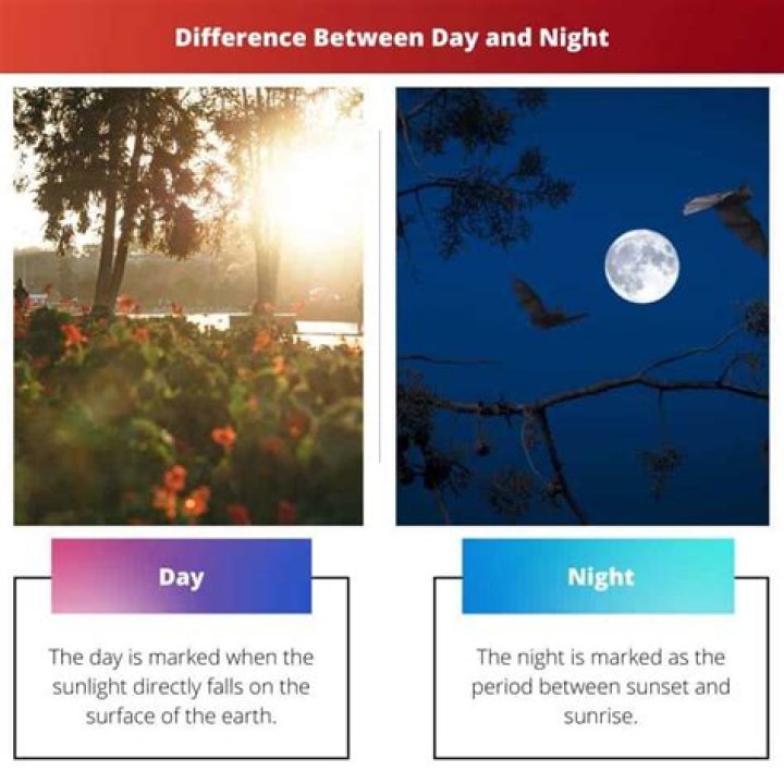 Day vs Night