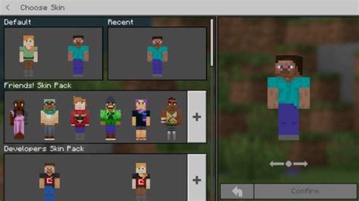 Default Minecraft skin showing transparency
