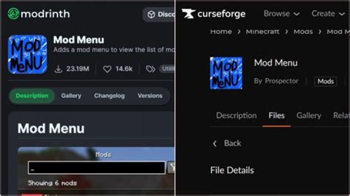 Developer mod menu
