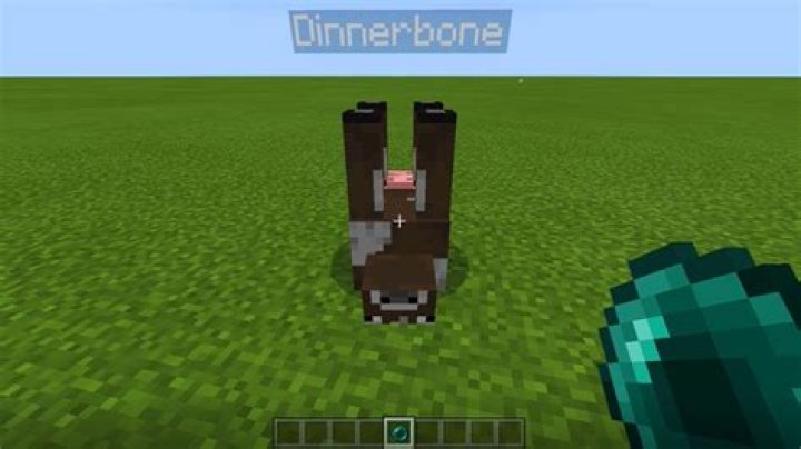 Dinnerbone cow