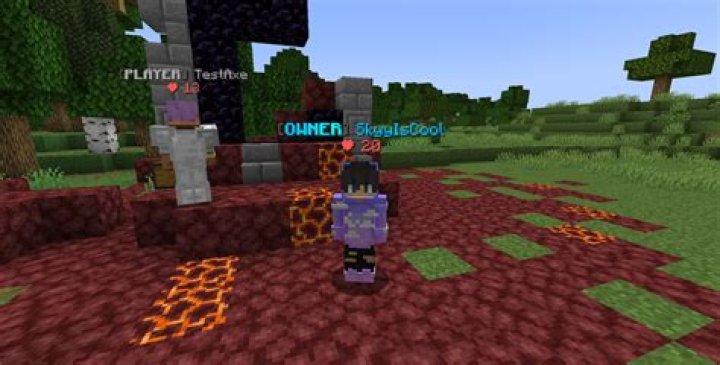 Disabling Nametags Vanilla