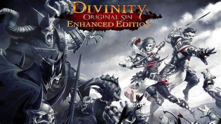Divinity: Original Sin Enhanced Edition multiplayer