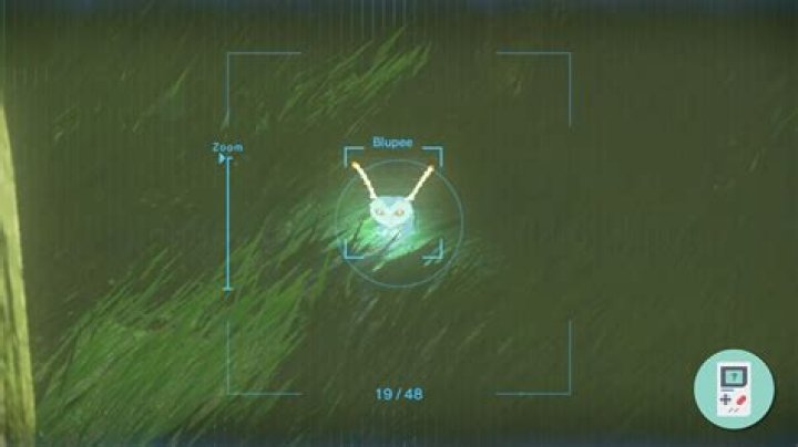 Do Blupees drop more money if you do more damage to them?