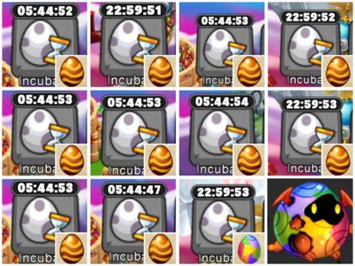 Do breeding times match hatching times for dragons?