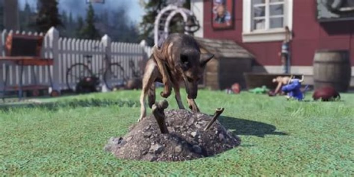 Do food items have any point in Fallout?
