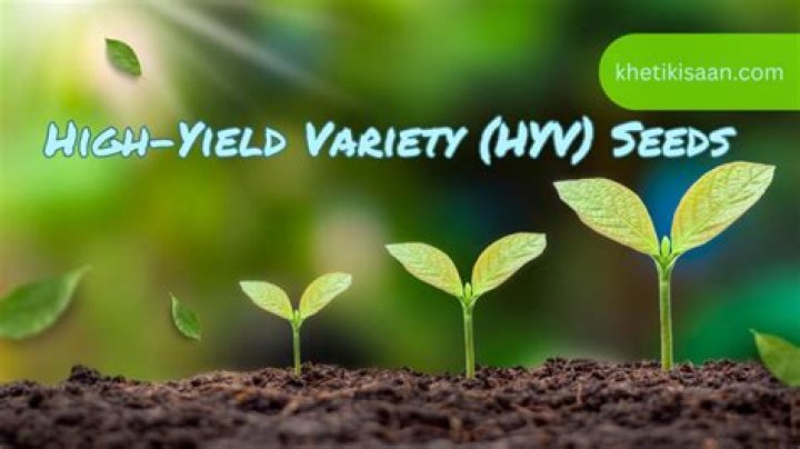 Do gold quality wild crops yield better seeds?