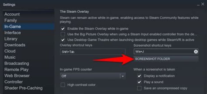 Do Warframe Screenshot settings effect the screenshots that Steam takes?