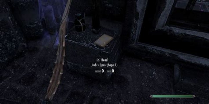 Does Jiub's Opus page 9 eventually reappear? 