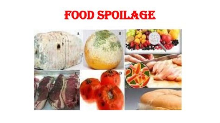 Does the food spoil in caravans?