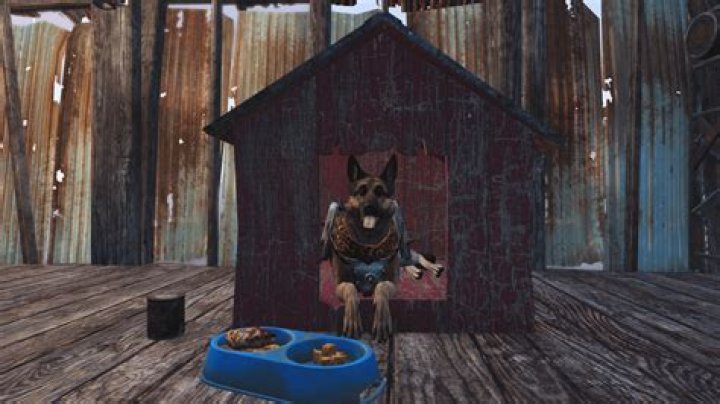 dogmeat in a doghouse
