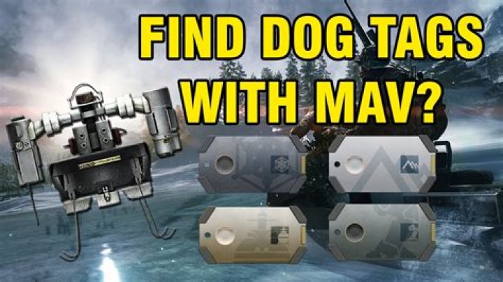 Easiest way to find the Battlefield 4 Final Stand Dog tags