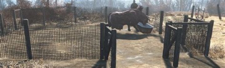 enclosure at Abernathy Farm
