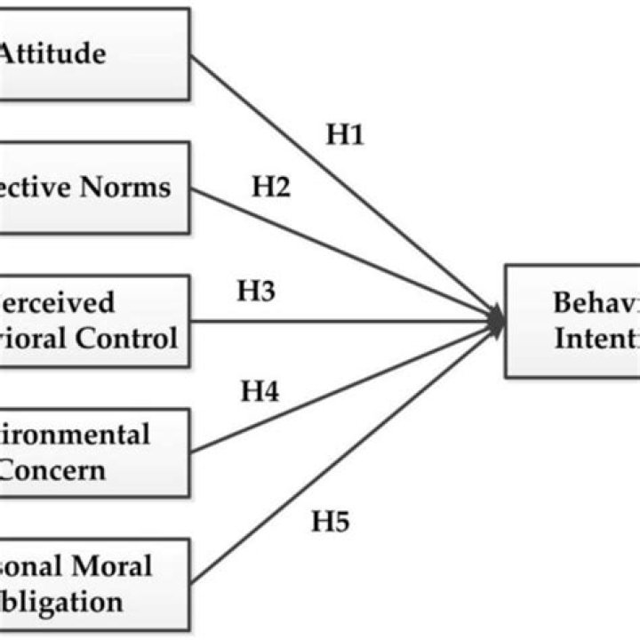 Extended theoretical view