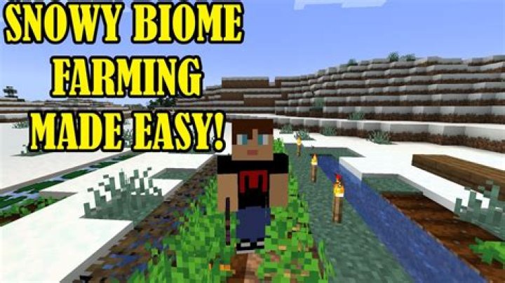 Farming in a snow biome