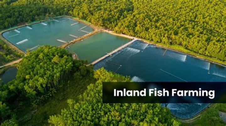 Fish farm with glass block