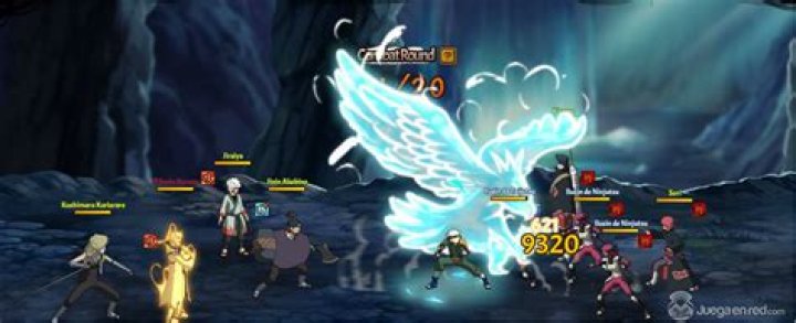 Furia Ninja