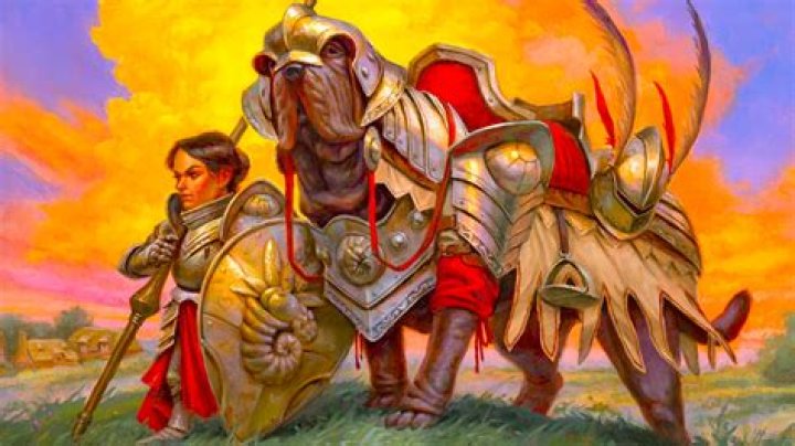Halfling cavalier: Order of the Paw vs Beast Riders. Why choosing the former?