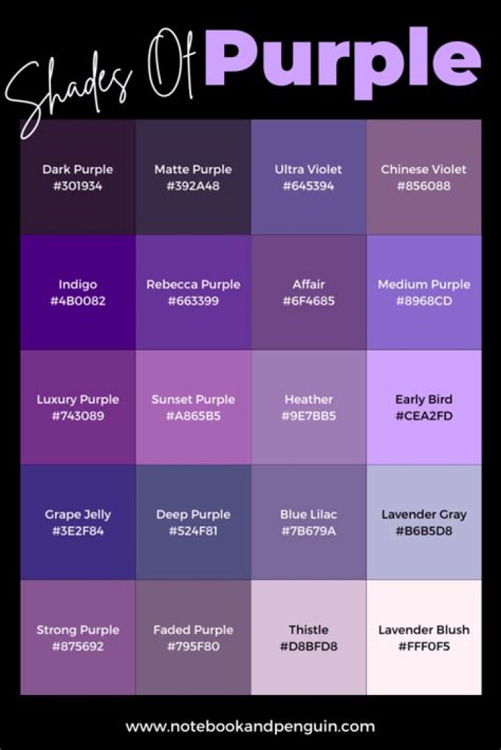 Here in purple on the right