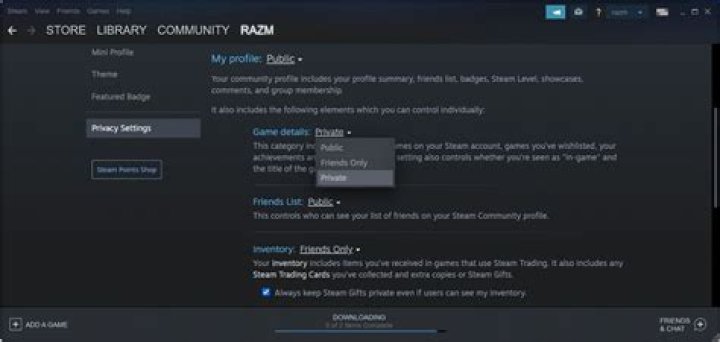 Hide my updates from friend's Steam Activity pages?
