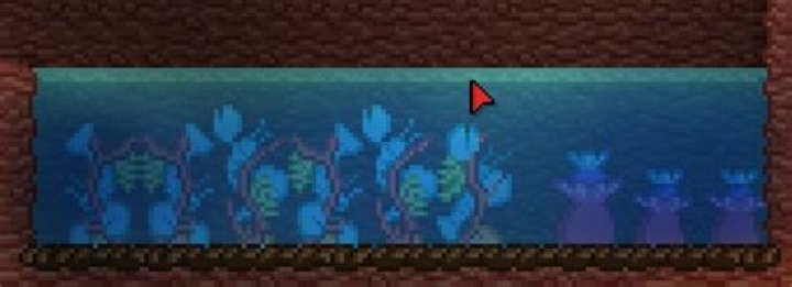 How am I supposed to farm coralcreep?