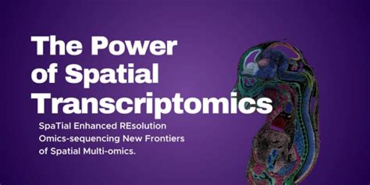 How are new research options unlocked?