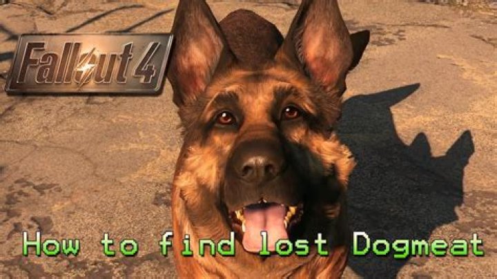 How can I find Dogmeat after I've made him stay in Fallout 4? [duplicate]
