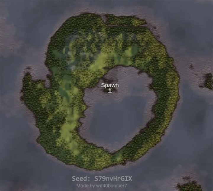 How can I find the World Seed of an online multiplayer Valheim Server?