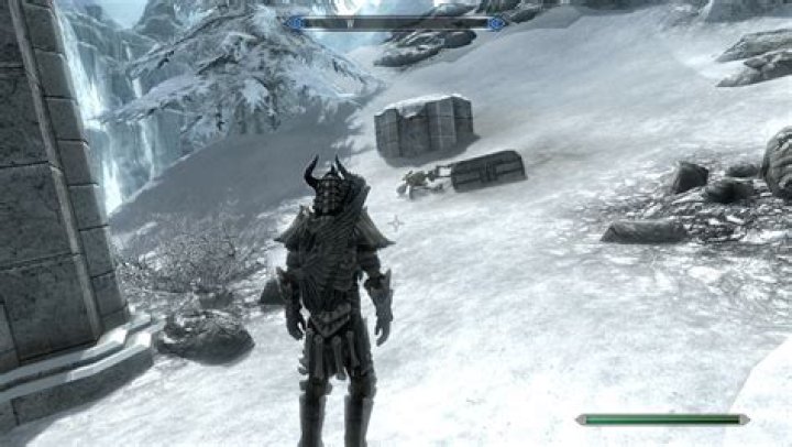 How can I get rid of the Falmer tome misc objective?