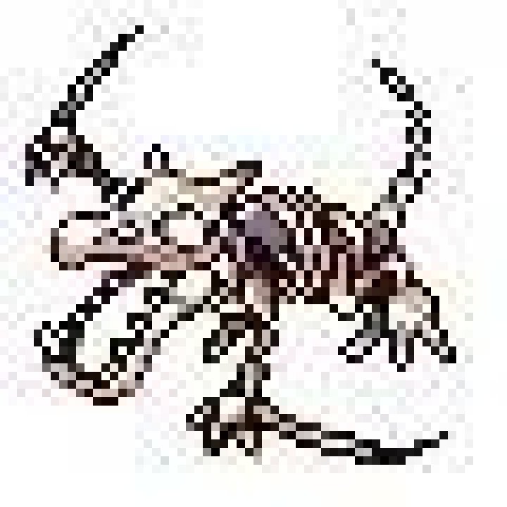 How can I guarantee that the skeleton forms of MissingNo appear?